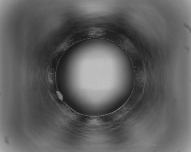 X0000097770755200803141745