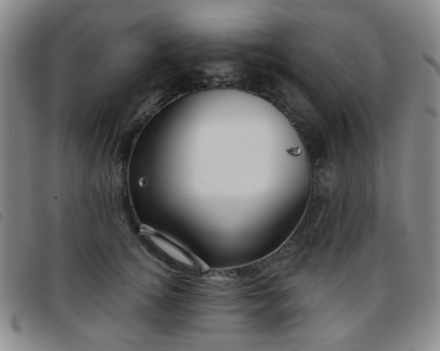 X0000097770756200803141745