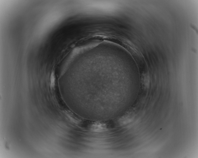 X0000097770760200803141745