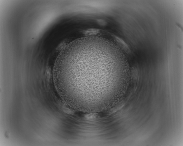 X0000097770761200803141745