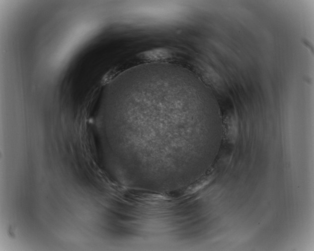 X0000097770762200803141745