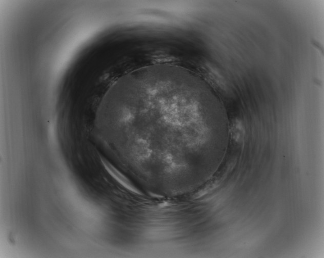 X0000097770763200803141745