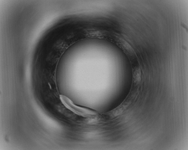 X0000097770764200803141745