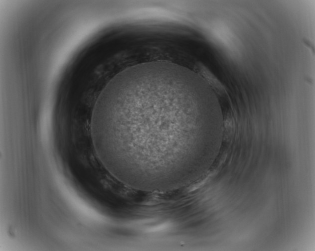 X0000097770765200803141745
