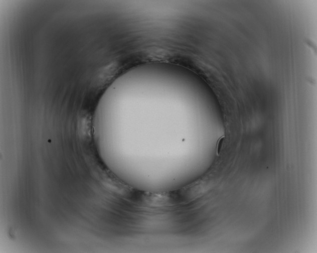 X0000097770768200803141745