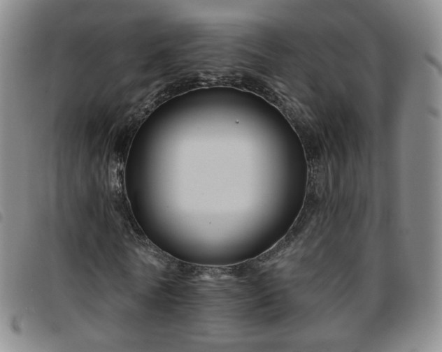 X0000097770770200803141744