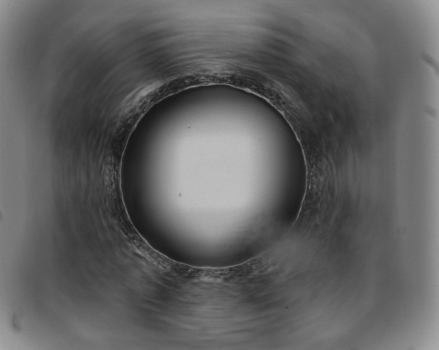 X0000097770773200803141744
