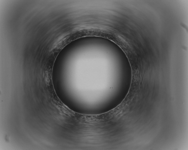 X0000097770774200803141744
