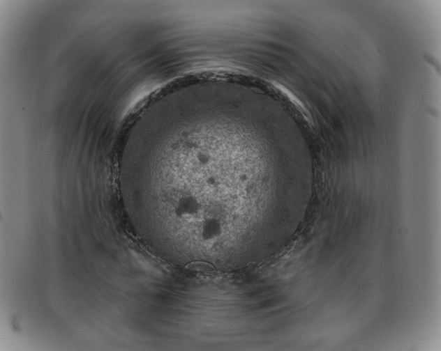 X0000097770775200803141744