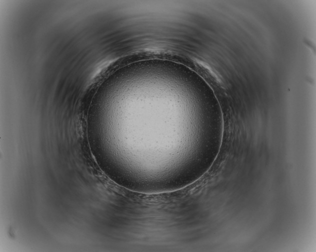 X0000097770776200803141744