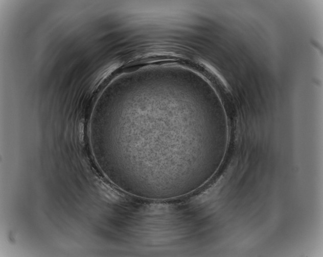 X0000097770777200803141744