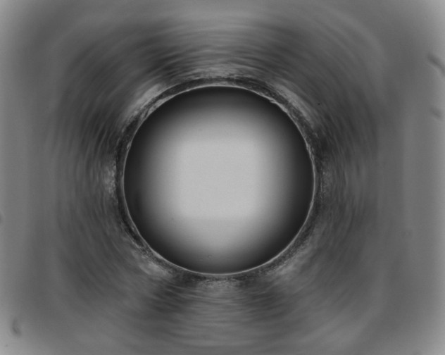 X0000097770778200803141744