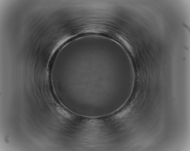 X0000097770779200803141744