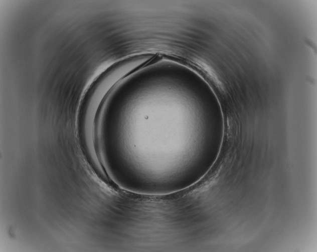 X0000097770780200803141744