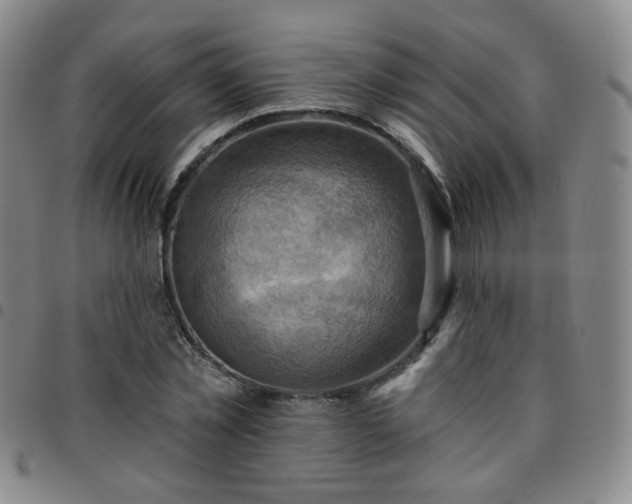 X0000097770781200803141744