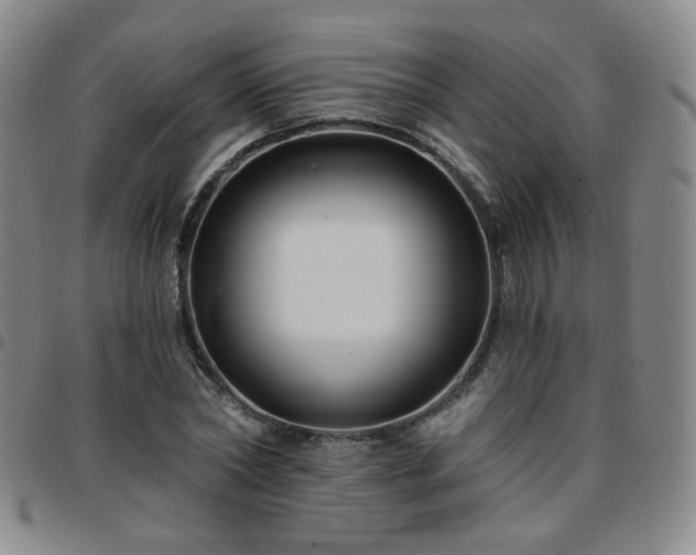 X0000097770782200803141744
