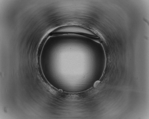 X0000097770784200803141744