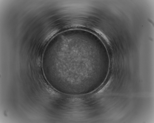 X0000097770785200803141744