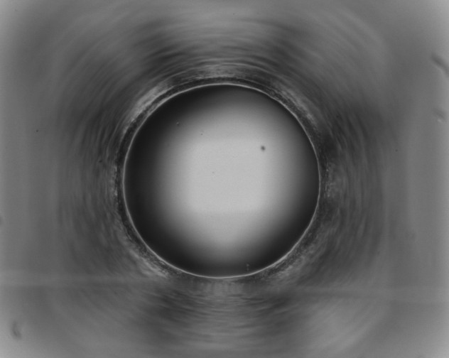 X0000097770786200803141744