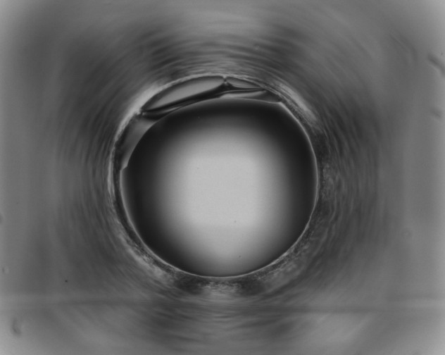 X0000097770788200803141744