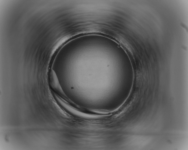 X0000097770789200803141744