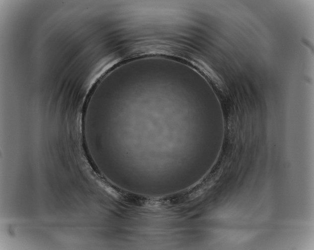 X0000097770790200803141744