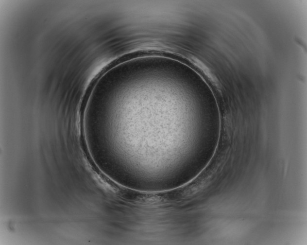 X0000097770791200803141744