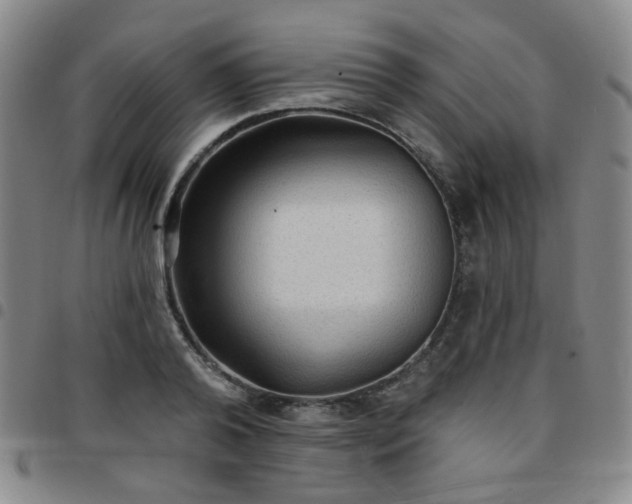 X0000097770792200803141744