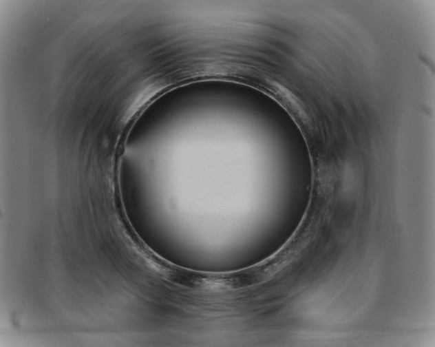 X0000097770794200803141744