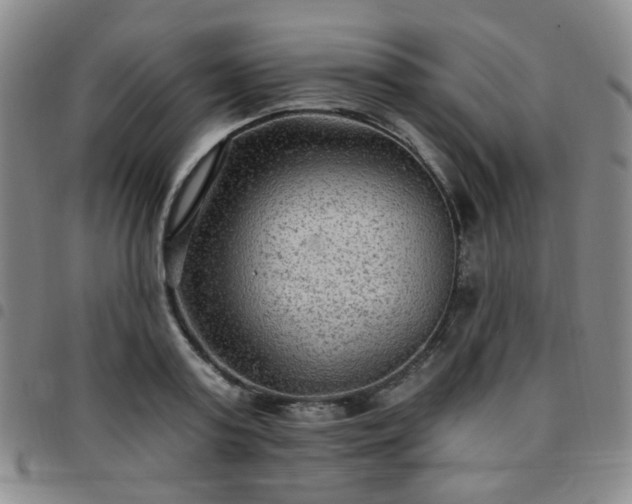 X0000097770795200803141744