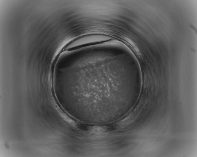 X0000097770796200803141744