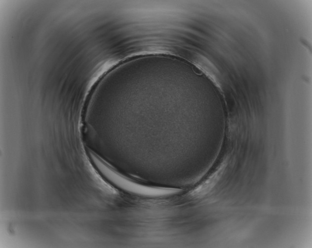 X0000097770797200803141744