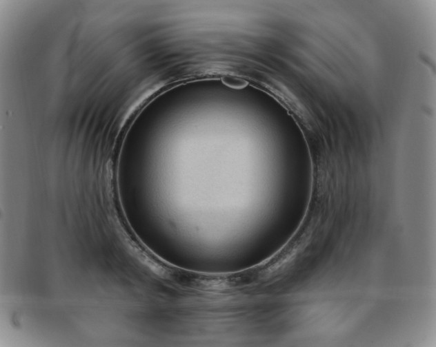 X0000097770798200803141744