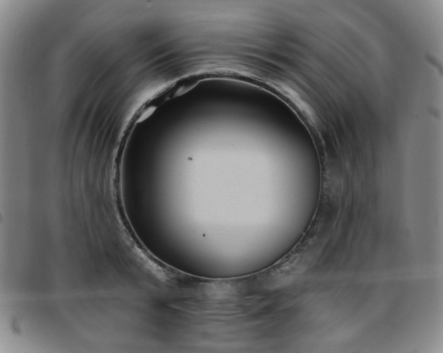 X0000097770799200803141744