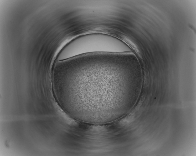 X0000097770800200803141744