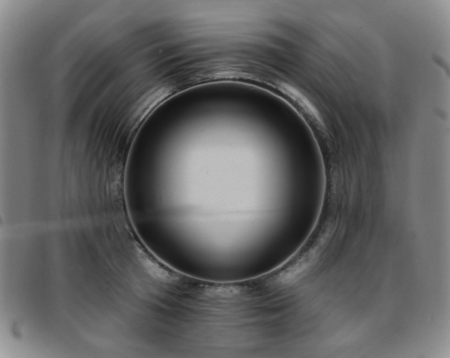 X0000097770801200803141744