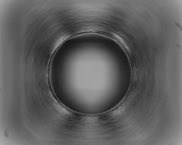 X0000097770802200803141744