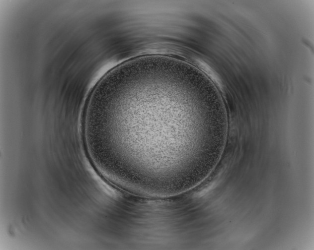 X0000097770803200803141744