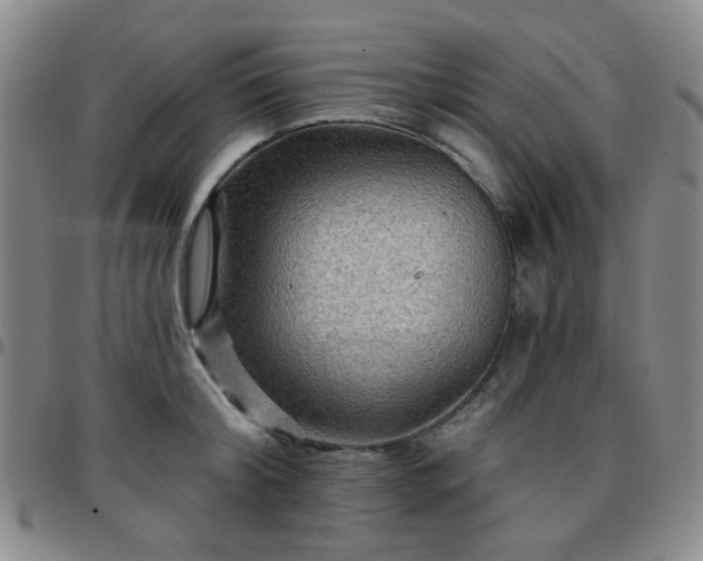 X0000097770804200803141744
