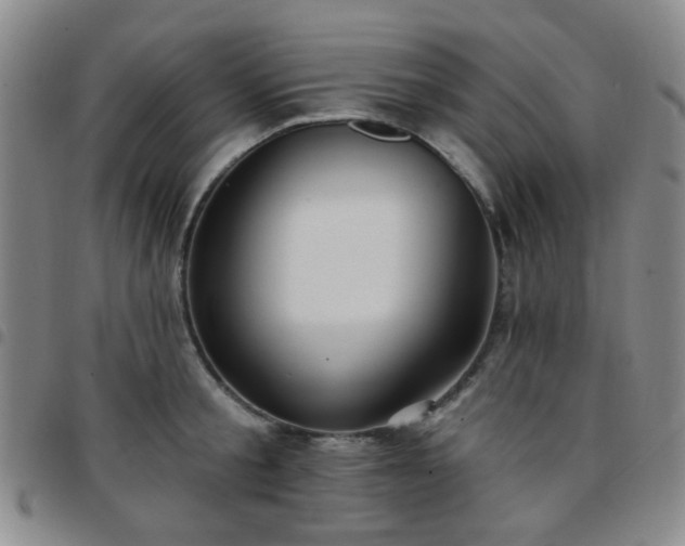 X0000097770805200803141744