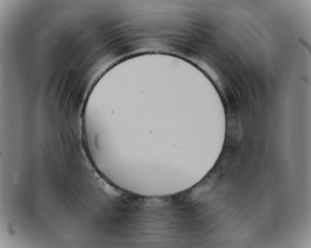 X0000097770807200803141744