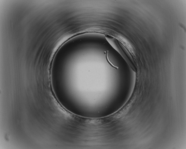 X0000097770808200803141744