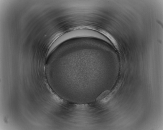X0000097770809200803141744