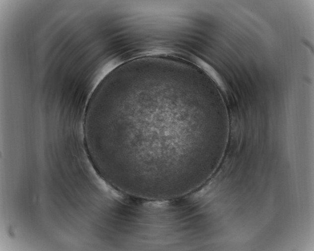 X0000097770810200803141744