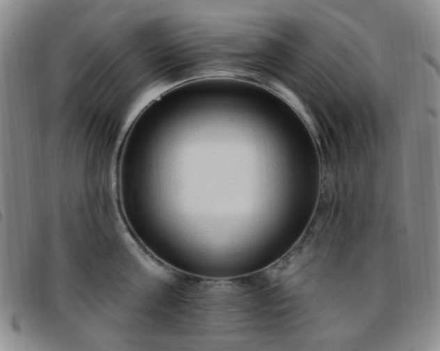 X0000097770811200803141743