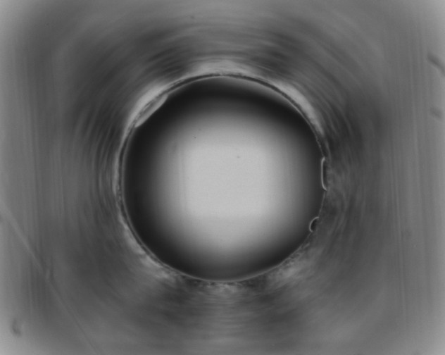 X0000097770815200803141743