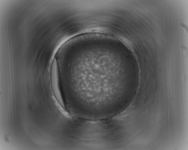 X0000097770816200803141743