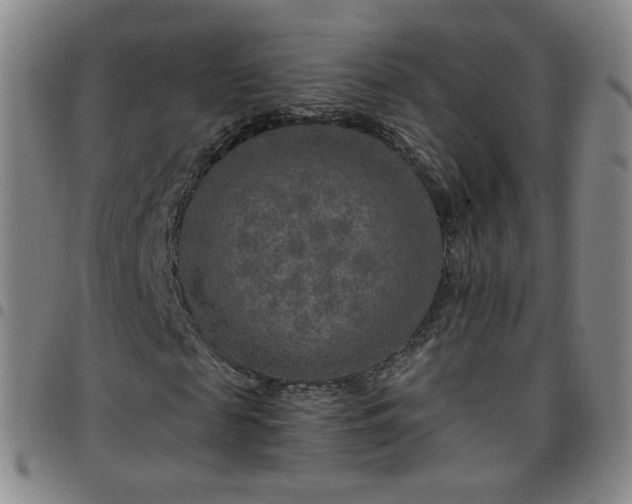 X0000097770817200803141743