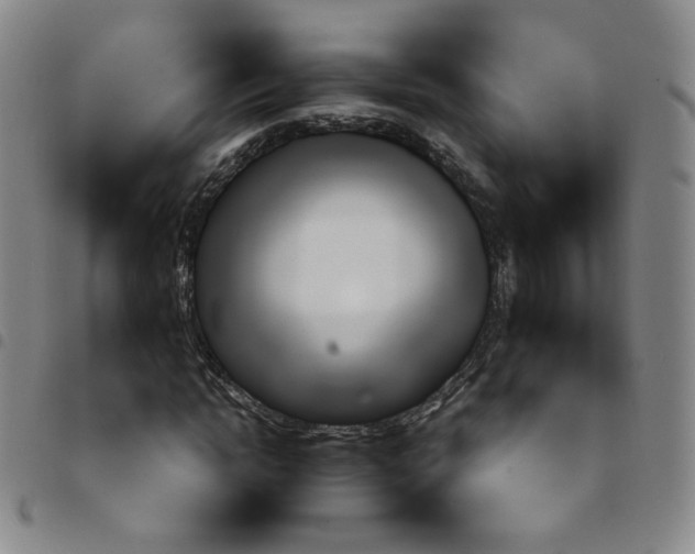 X0000097770822200803141743