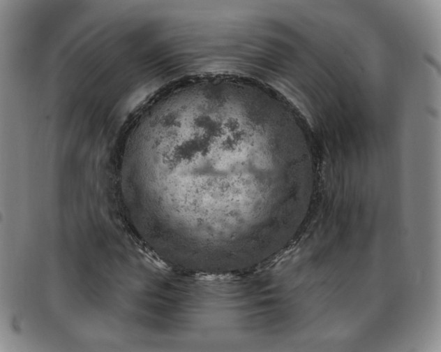 X0000097770823200803141743